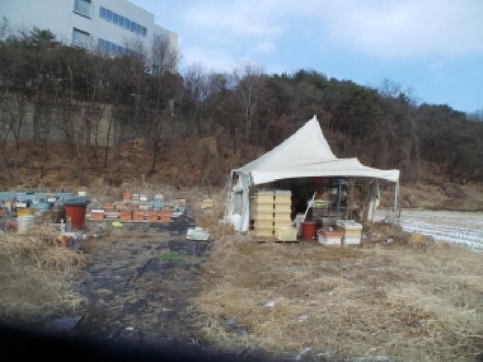 춘천시 동내면 거두리 답 경매 물건 사진