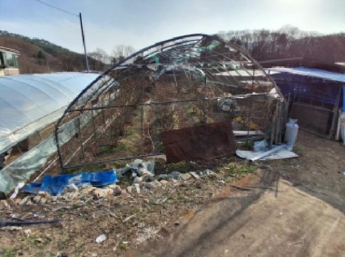 인제군 남면 부평리 전답 경매 물건 사진