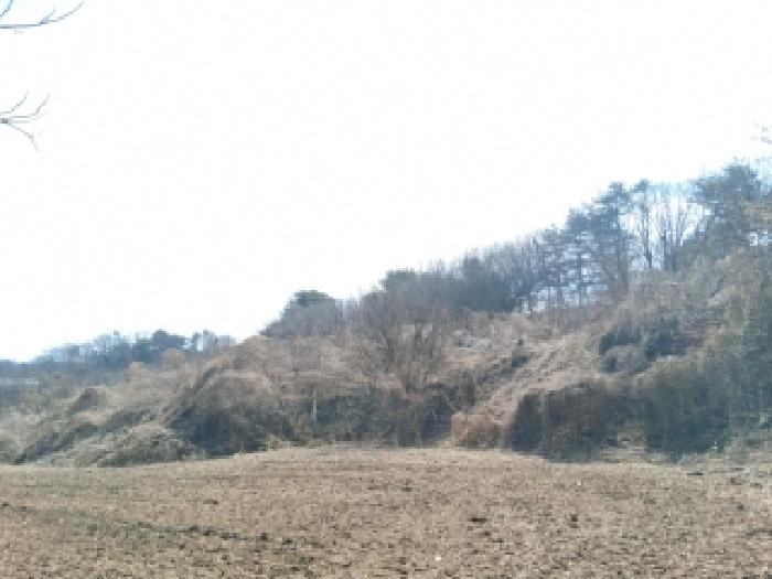 춘천시 서면 금산리 전답 경매 물건 사진