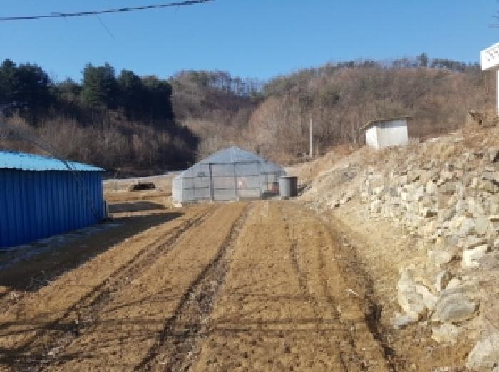 양구군 양구읍 학조리 대지,임야,전답 경매 물건 사진