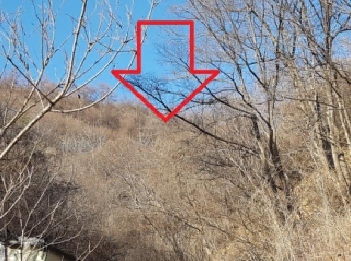 춘천시 북산면 물로리 전답 경매 물건 사진