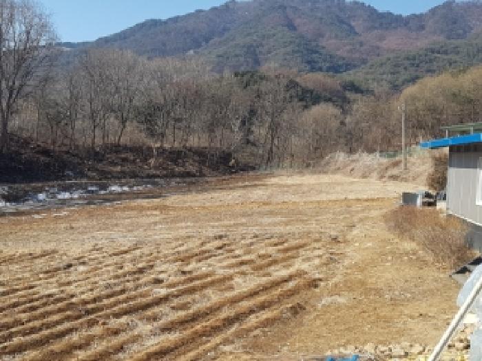 양구군 양구읍 이리 전답 경매 물건 사진