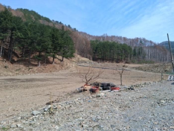 인제군 기린면 진동리 대지,임야,전답 경매 물건 사진