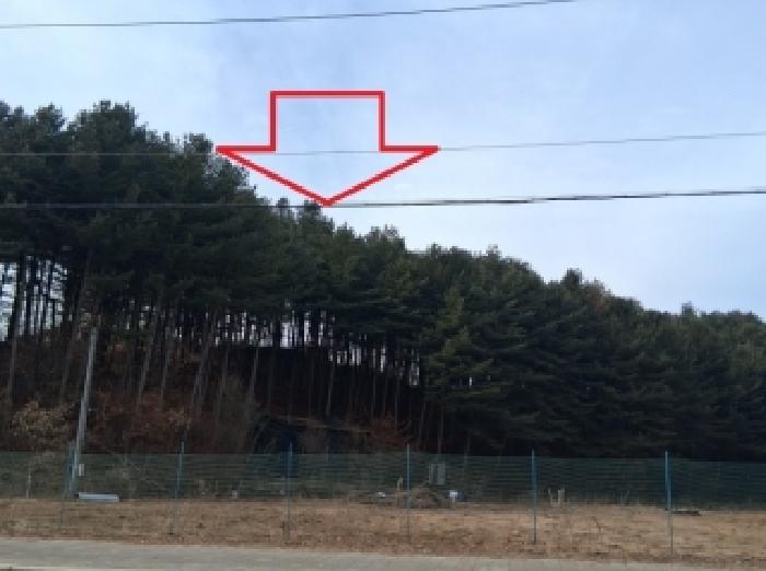춘천시 서면 신매리 임야 경매 물건 사진