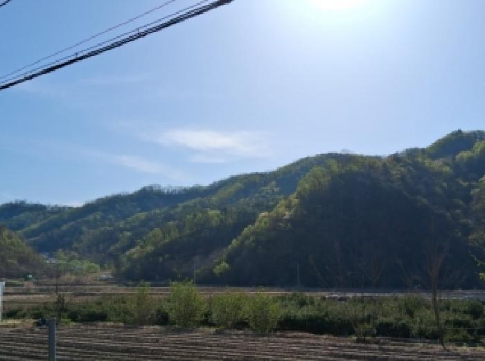 춘천시 서면 안보리 임야 경매 물건 사진