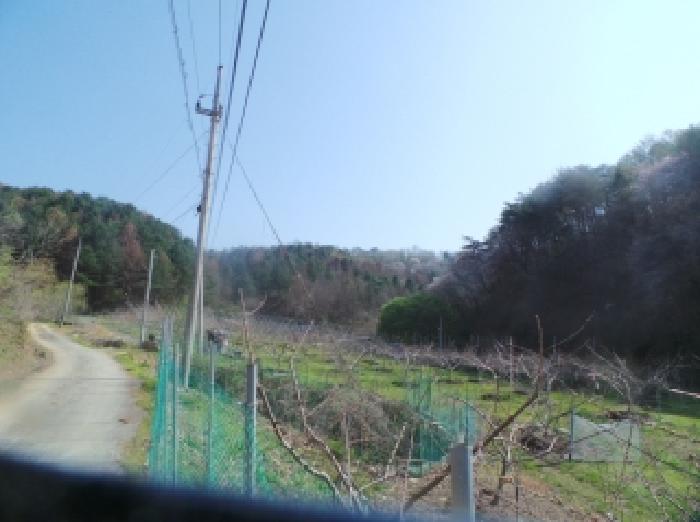 홍천군 북방면 본궁리 임야 경매 물건 사진