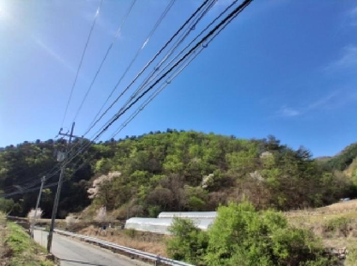 춘천시 서면 덕두원리 임야 경매 물건 사진