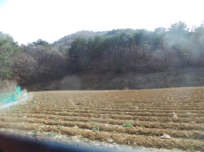 홍천군 내면 율전리 전답 경매 물건 사진