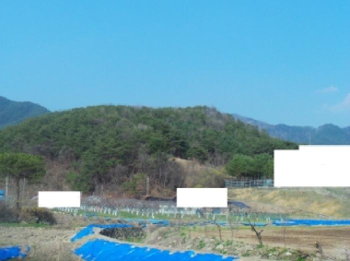 홍천군 남면 시동리 임야 경매 물건 사진