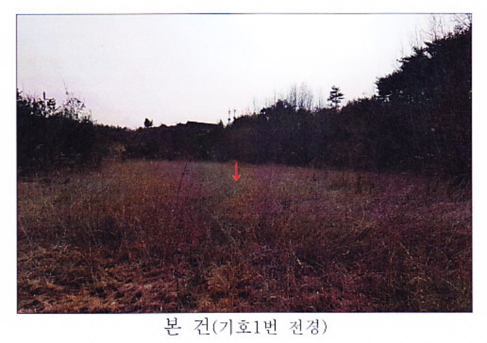 강릉시 사천면 석교리 답 경매 물건 사진