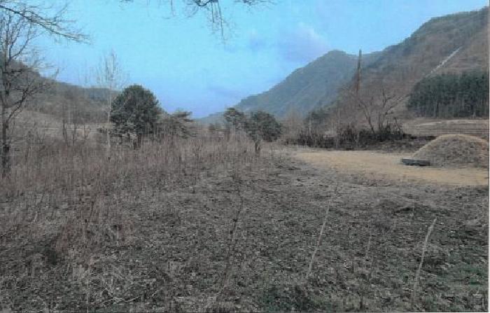 삼척시 하장면 갈전리 전답 경매 물건 사진