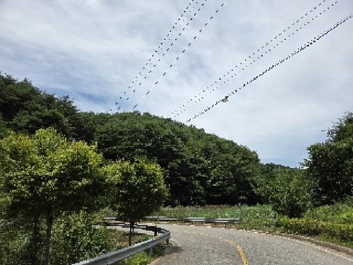 삼척시 근덕면 상맹방리 임야 경매 물건 사진