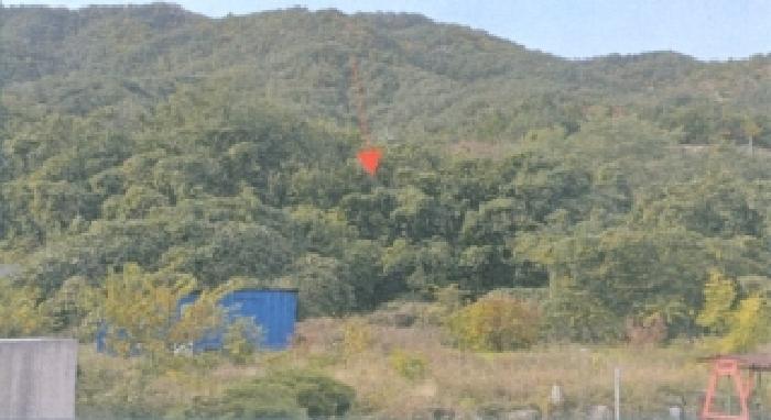 삼척시 근덕면 용화리 대지,임야,전답 경매 물건 사진