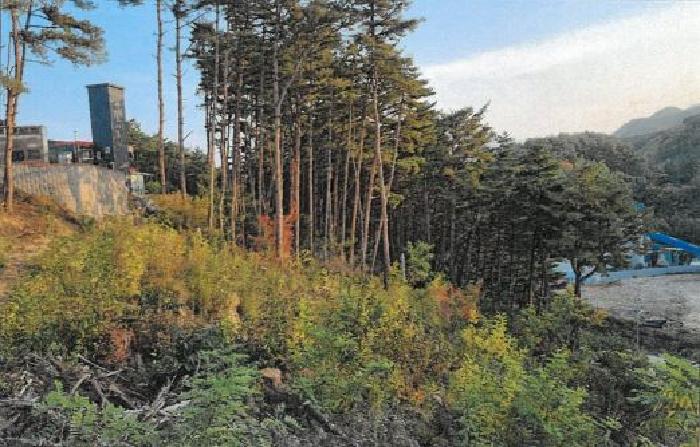 삼척시 근덕면 상맹방리 대지,임야,전답 경매 물건 사진