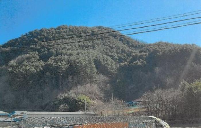 삼척시 적노동 산26 임야 경매 물건 사진