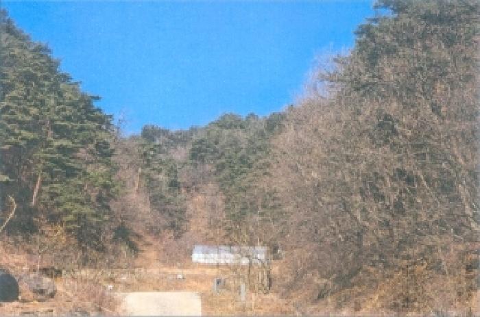 삼척시 평전동 산80 임야 경매 물건 사진
