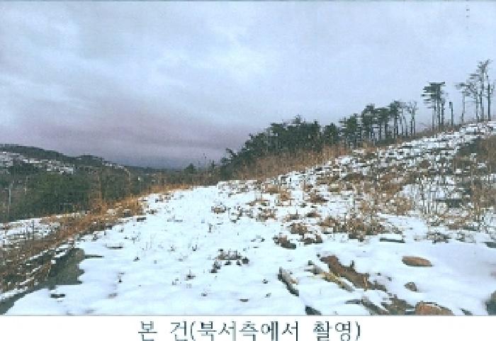 동해시 발한동 산31-6 임야 경매 물건 사진