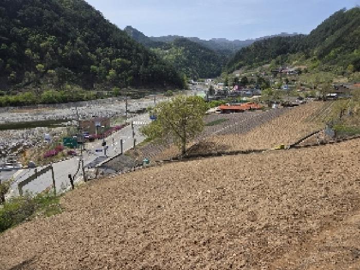 삼척시 가곡면 풍곡리 도로 경매 물건 사진