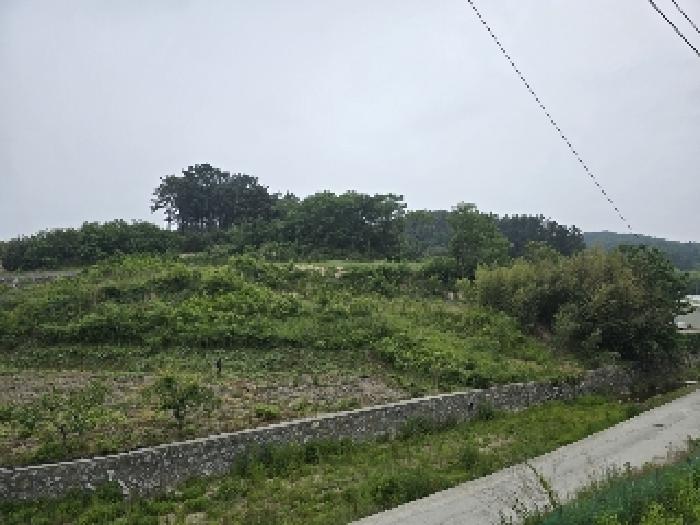 삼척시 근덕면 장호리 전 경매 물건 사진