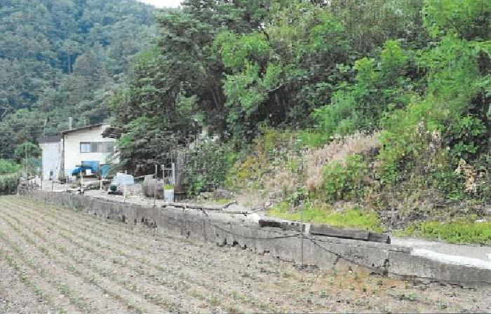 삼척시 미로면 천기리 임야 경매 물건 사진