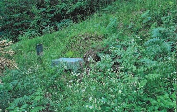 강릉시 성산면 산북리 임야 경매 물건 사진