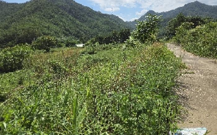 삼척시 원덕읍 사곡리 전 경매 물건 사진