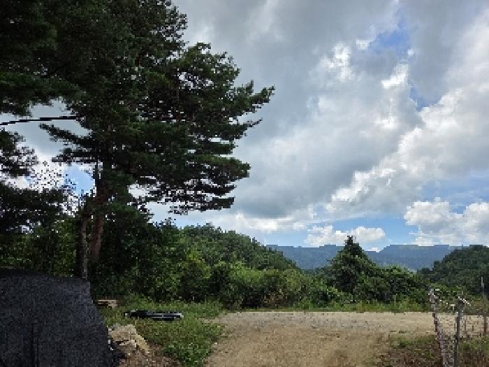 강릉시 왕산면 대기리 대지,임야,전답 경매 물건 사진
