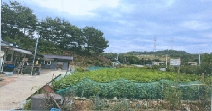 삼척시 원덕읍 옥원리 전답 경매 물건 사진