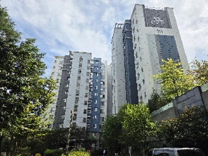 강릉시 입암동 711 아파트 경매 물건 사진