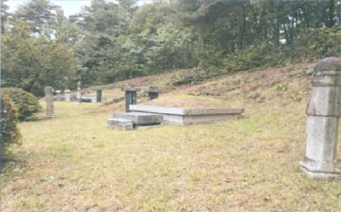 강릉시 박월동 산22 임야 경매 물건 사진