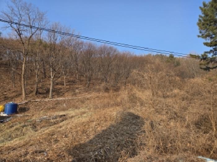 삼척시 원덕읍 노곡리 답 경매 물건 사진