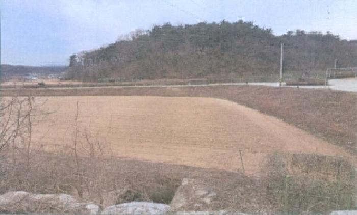 강릉시 장현동 289 대지,임야,전답 경매 물건 사진