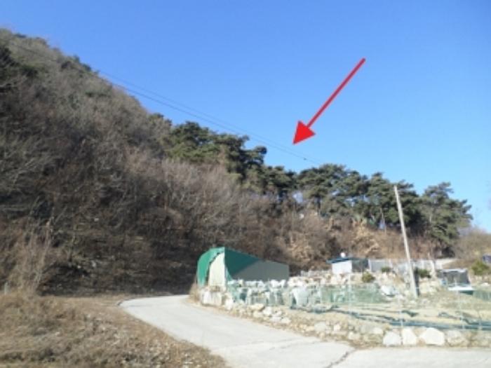 원주시 귀래면 귀래리 임야 경매 물건 사진