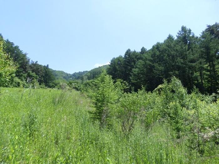 횡성군 안흥면 상안리 전 경매 물건 사진