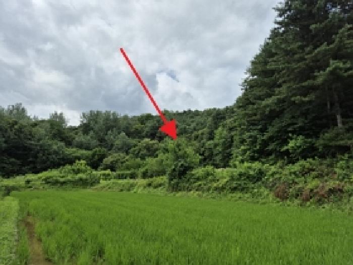 원주시 태장동 654 전 경매 물건 사진
