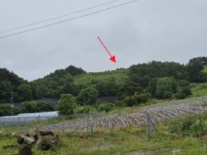 횡성군 강림면 월현리 도로 경매 물건 사진