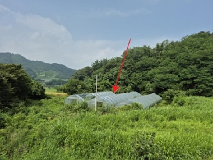 횡성군 우천면 하궁리 답 경매 물건 사진