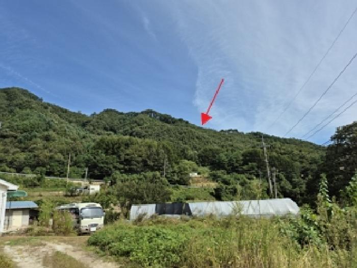 원주시 신림면 구학리 임야 경매 물건 사진