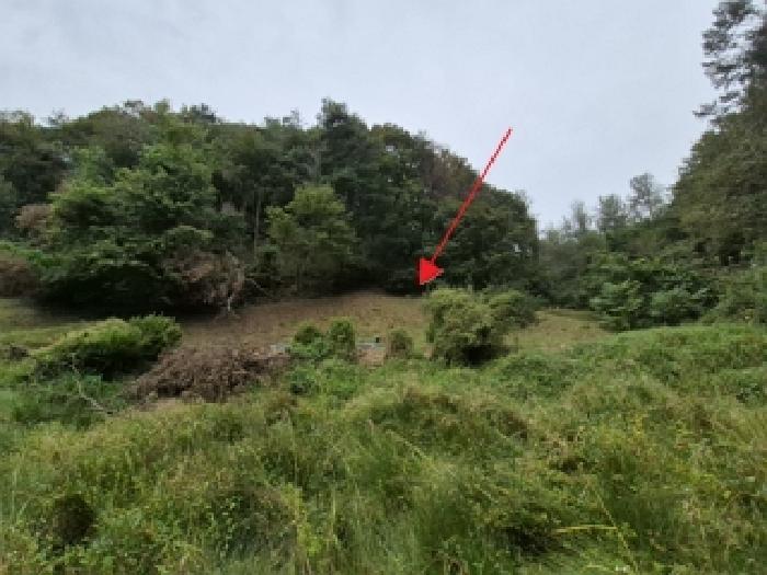횡성군 갑천면 율동리 전답 경매 물건 사진