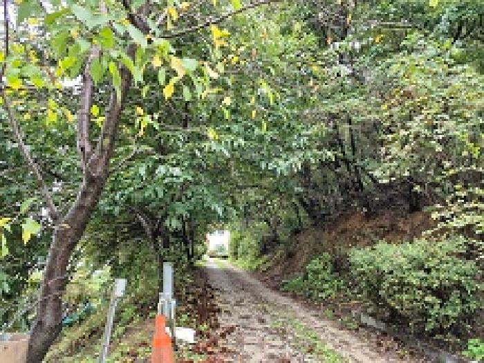 원주시 관설동 363-5 단독주택다가구 경매 물건 사진