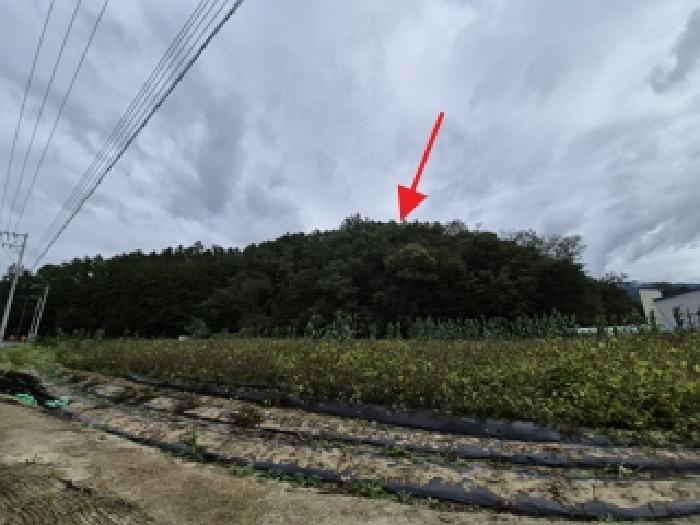 원주시 봉산동 산182-3 임야 경매 물건 사진
