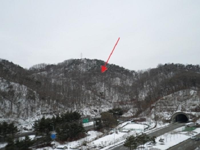 원주시 무실동 산64 임야 경매 물건 사진