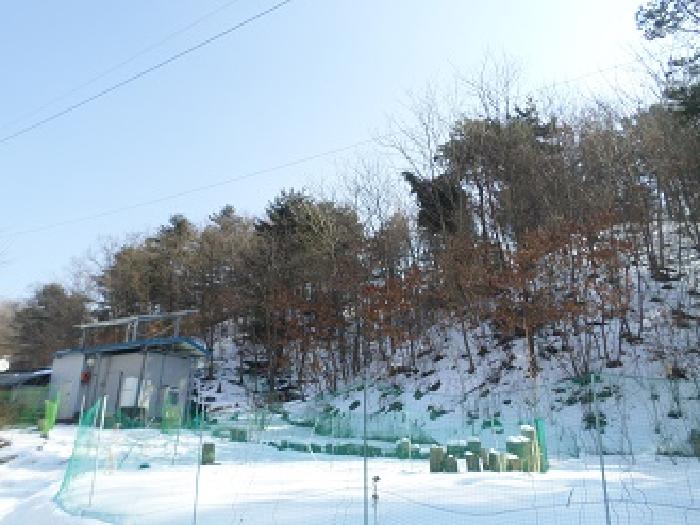 원주시 소초면 평장리 임야 경매 물건 사진