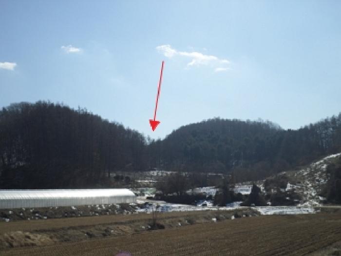 원주시 지정면 월송리 답 경매 물건 사진