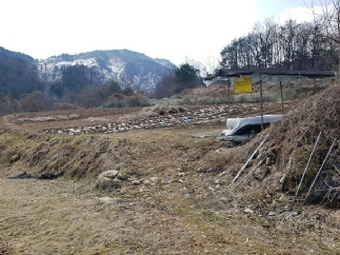 원주시 문막읍 비두리 전 경매 물건 사진