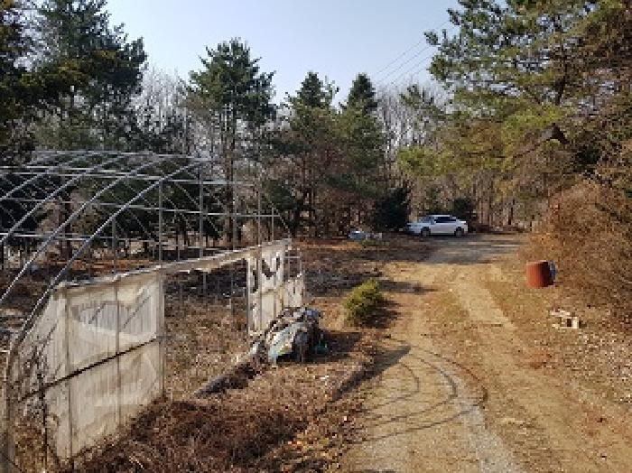 원주시 지정면 신평리 단독주택 경매 물건 사진