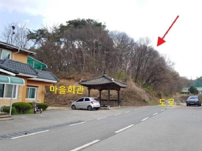 횡성군 횡성읍 조곡리 임야 경매 물건 사진