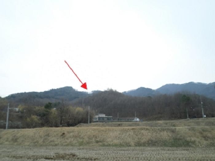 원주시 흥업면 대안리 임야 경매 물건 사진