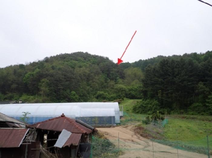 횡성군 둔내면 자포곡리 임야 경매 물건 사진