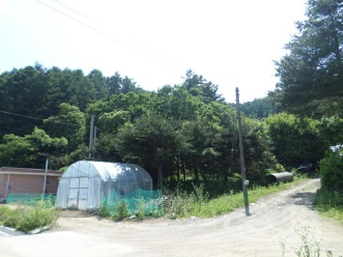 원주시 소초면 학곡리 답 경매 물건 사진